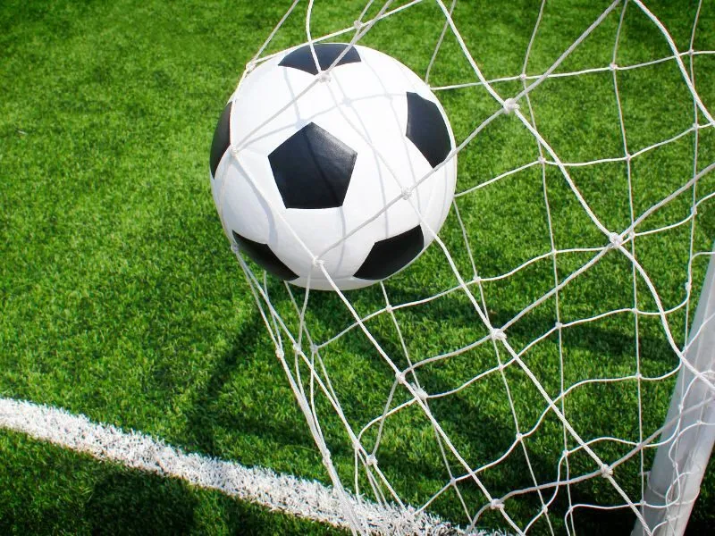 Giới thiệu chung về 8xbet