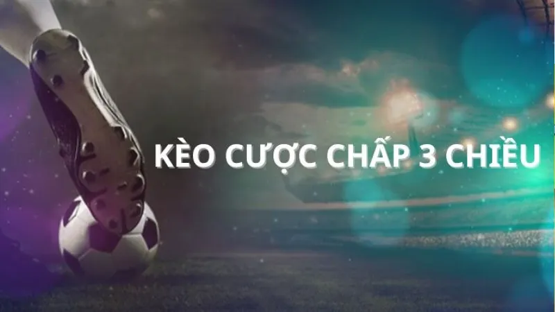 Tối ưu hóa dữ liệu, công cụ và checklist hành động